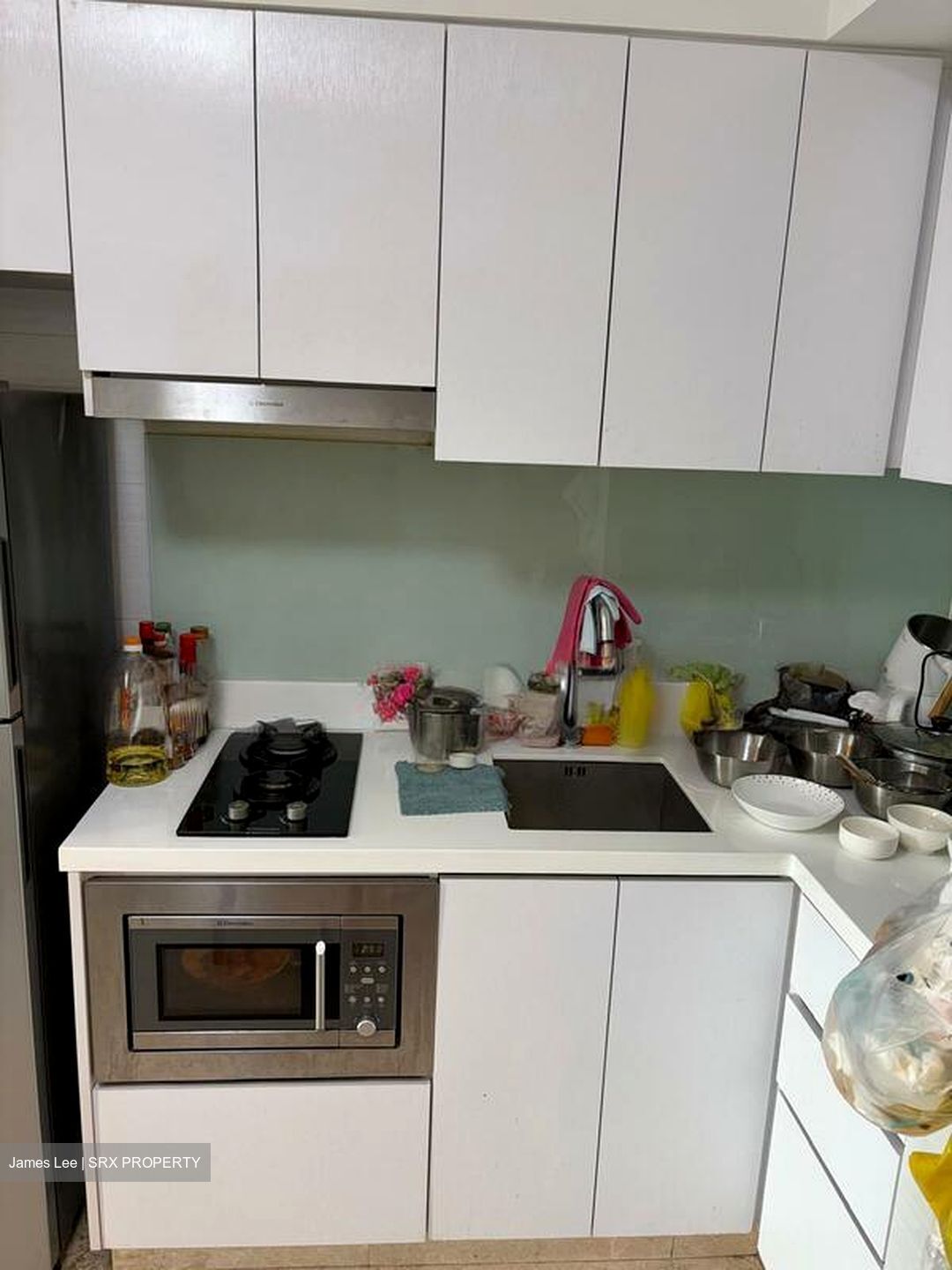 Eight Riversuites (D12), Condominium #630638581